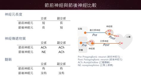 節前節後意思